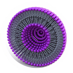 Liposomal Injections